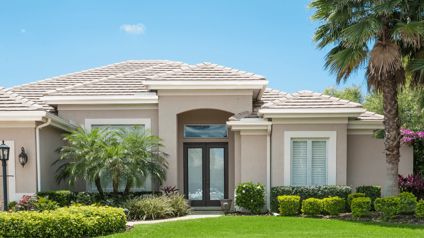 new palm tree in front of florida house