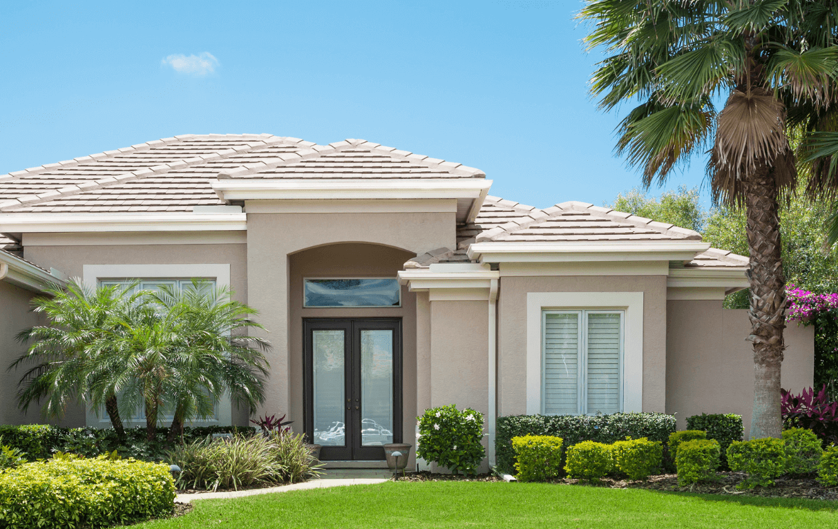 Baby palm tree in front of house