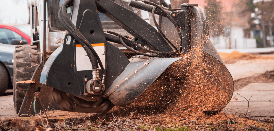 Cutting tree stump 