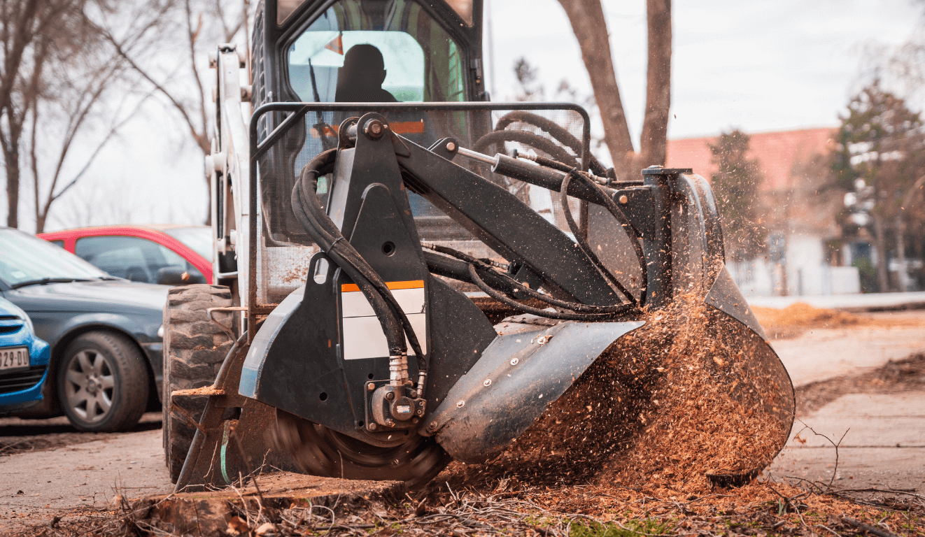 stump grinding