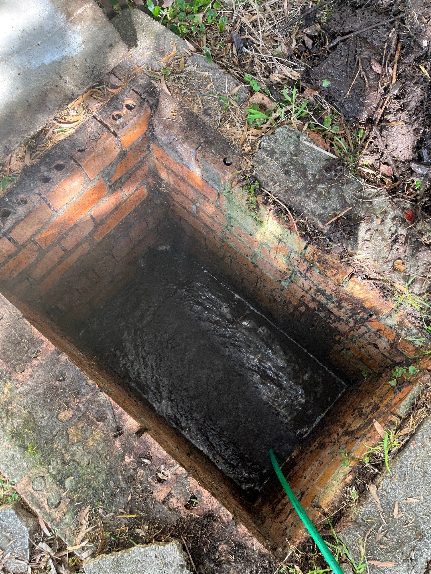 Professional Male Plumber Eliminates Hair Blockage In Siphon Of Sink Drain Pipe — Distinct Plumbing Services In Wollongong