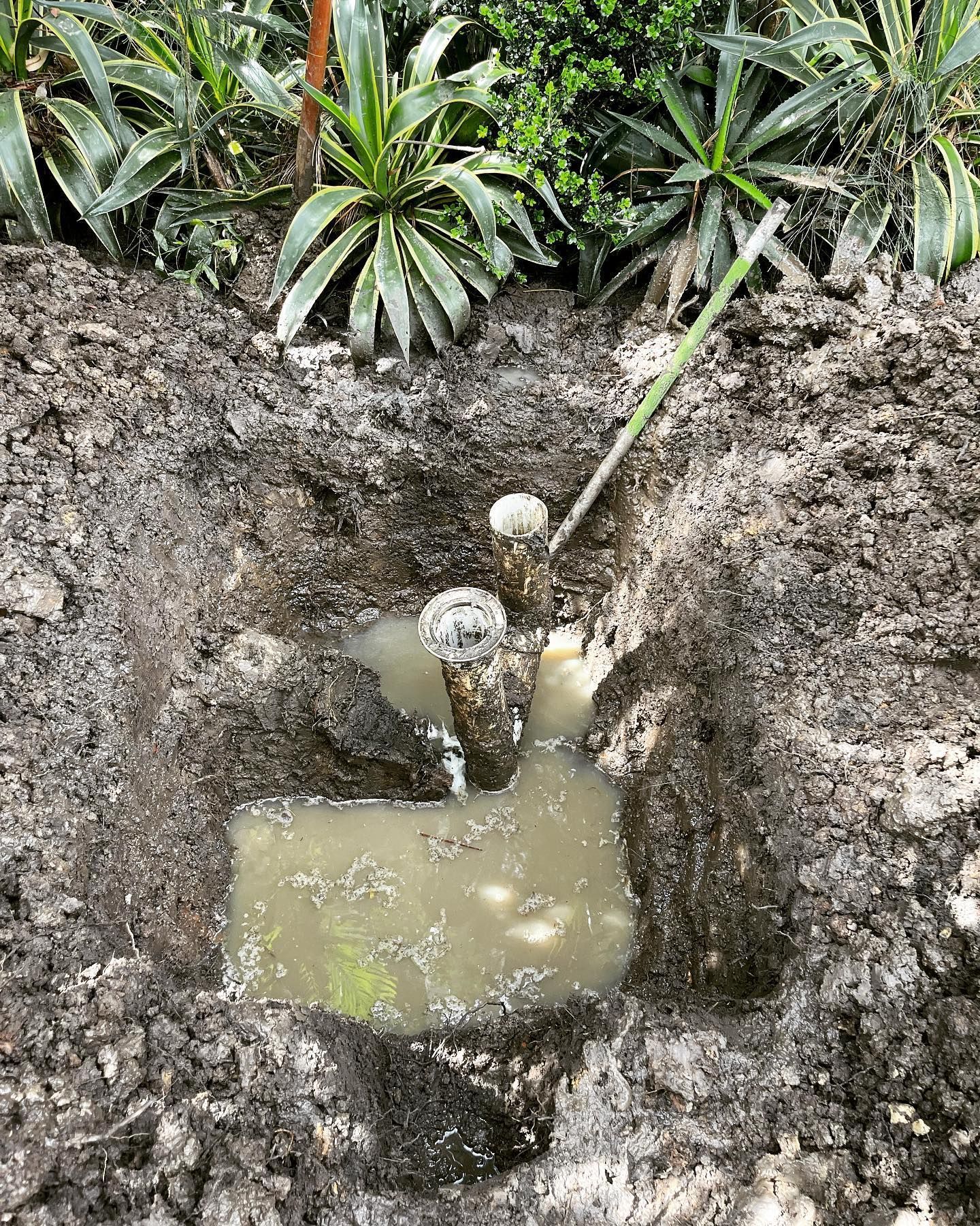 A hole in the ground contains two exposed pipes, partially submerged in muddy water, surrounded by plants and soil. — Distinct Plumbing Services In Flinders NSW