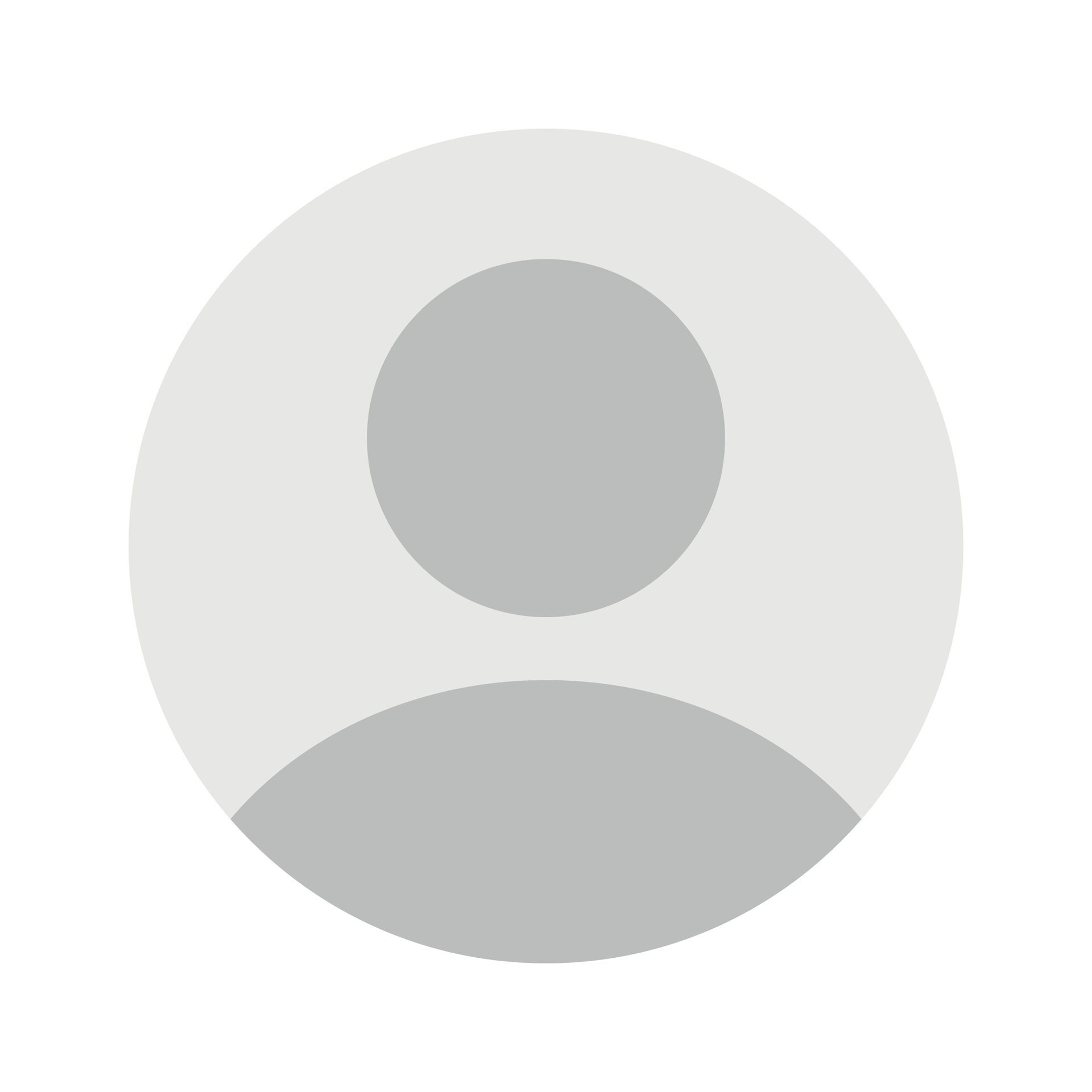 Gray avatar, outlined head and shoulders, light gray background.