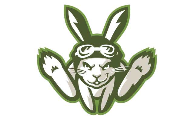 FR2GOLF ⭐︎ Green Rabbit Logo Sleeveless FR2GOLF/Green Rabbit Logo Sleeveless