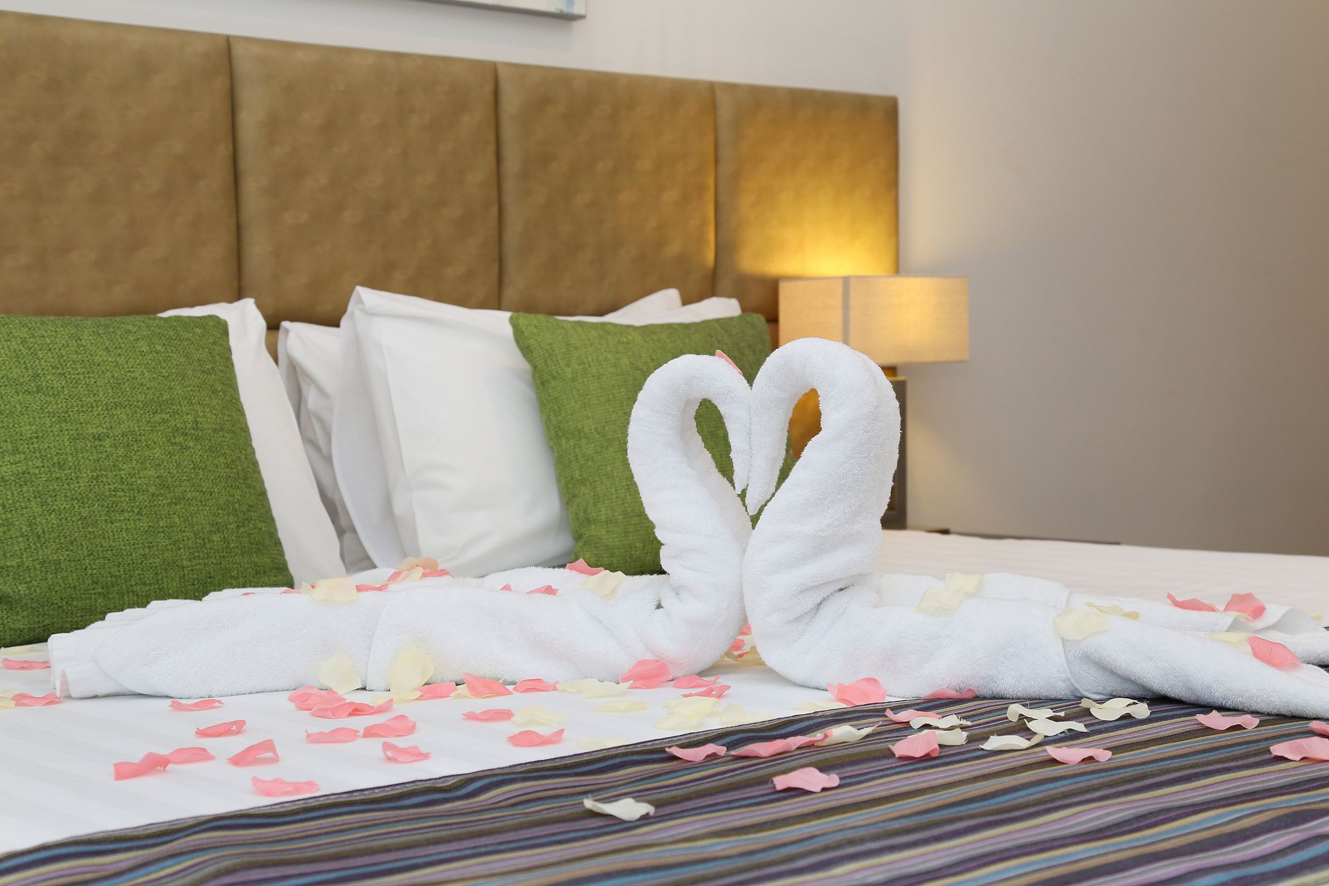 superior room for four in Wagga Wagga