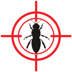 termites Pickens Pest Control Oxford, MS