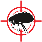 fleas Pickens Pest Control Oxford, MS