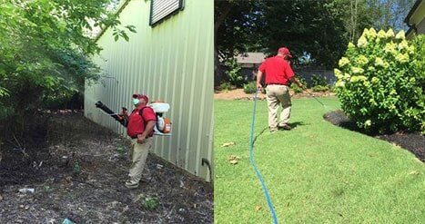 exterminator treating grounds Pickens Pest Control Oxford, MS