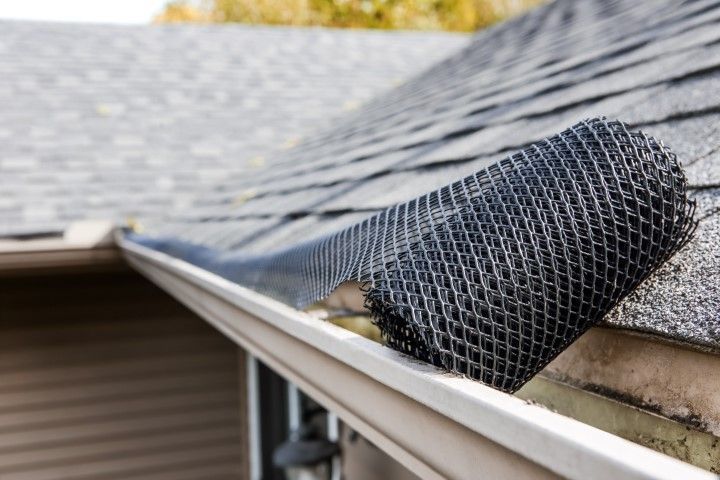 Roof gutter with black mesh leaf guard over a house eave