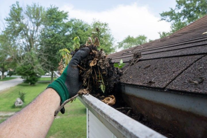 Gloved hand removing debris from a rain gutter on a shingled roof outdoors