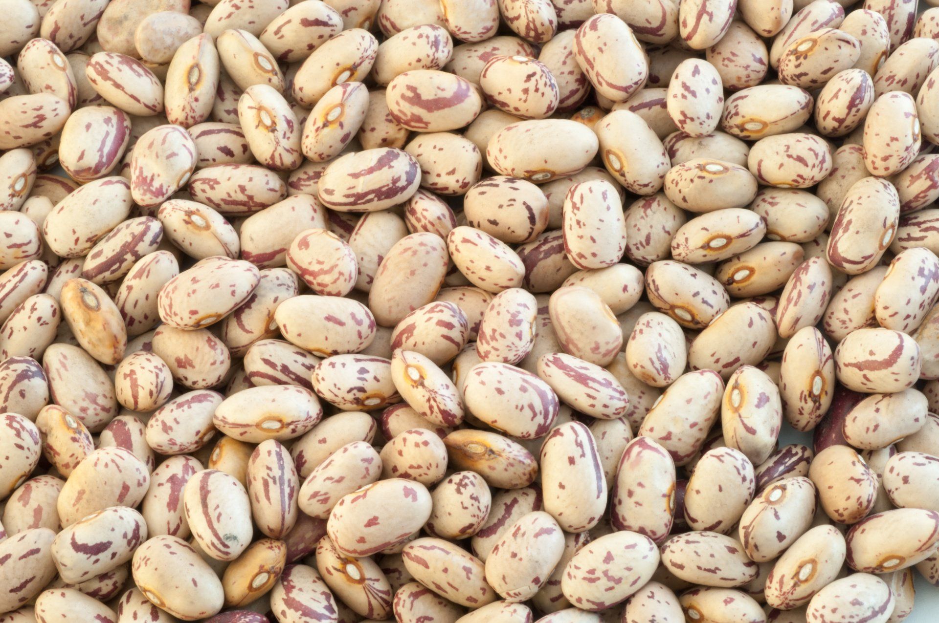 Hanline Frozen Romulous Michigan