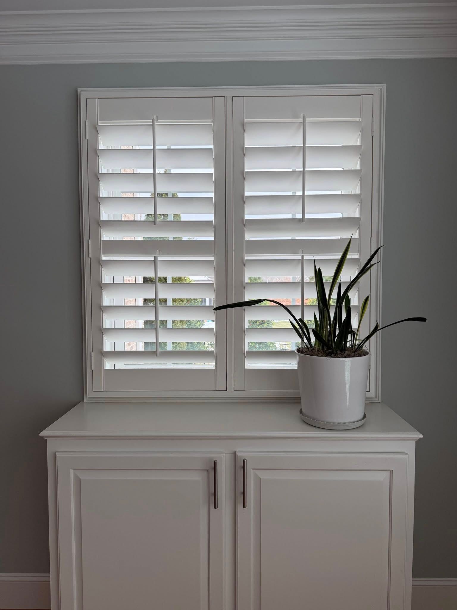 Piedmont Blind Company 3