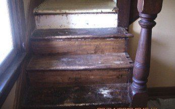 Stairs, Refinishing Services in Albany, NY