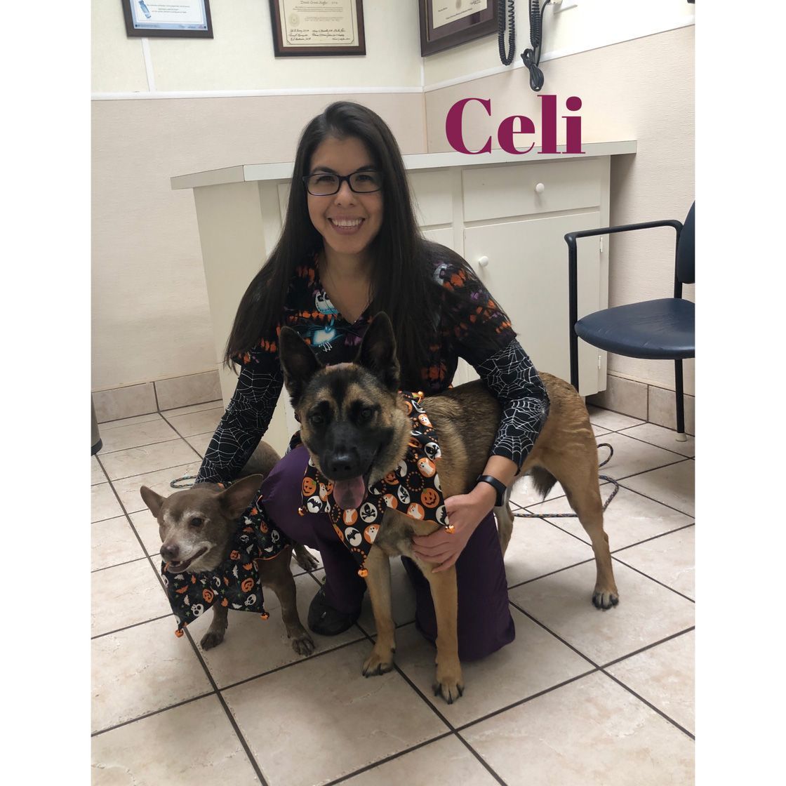 A woman is kneeling down with two dogs in front of a sign that says celi.