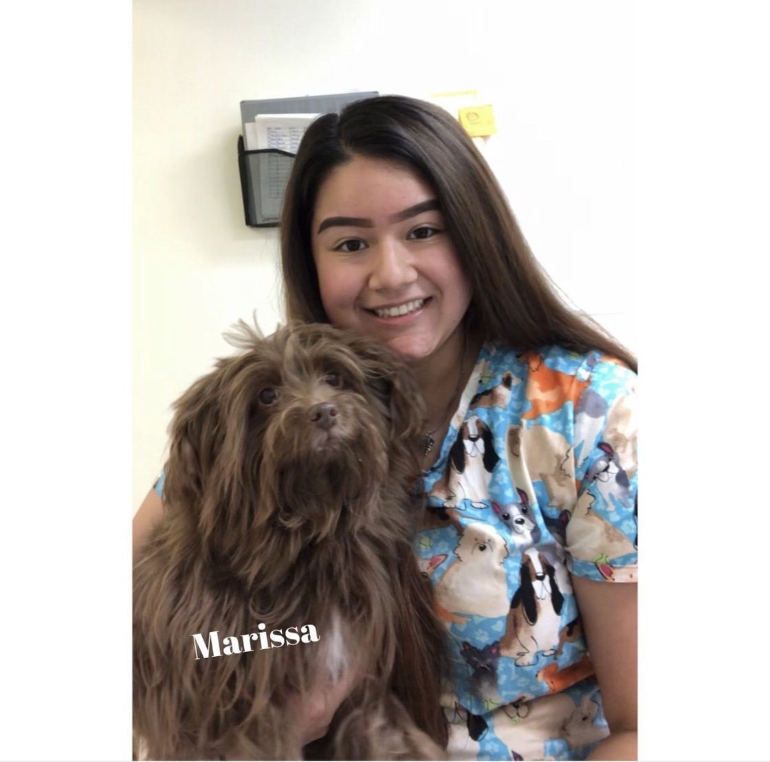 A woman in a scrub top is holding a brown dog.