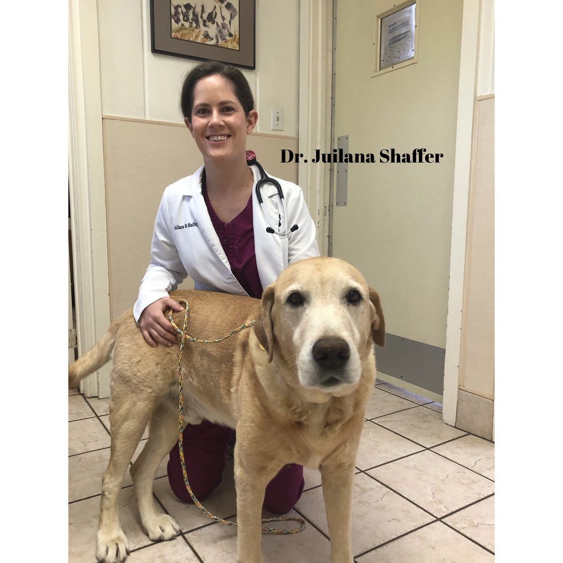 A woman in a lab coat is kneeling next to a dog.