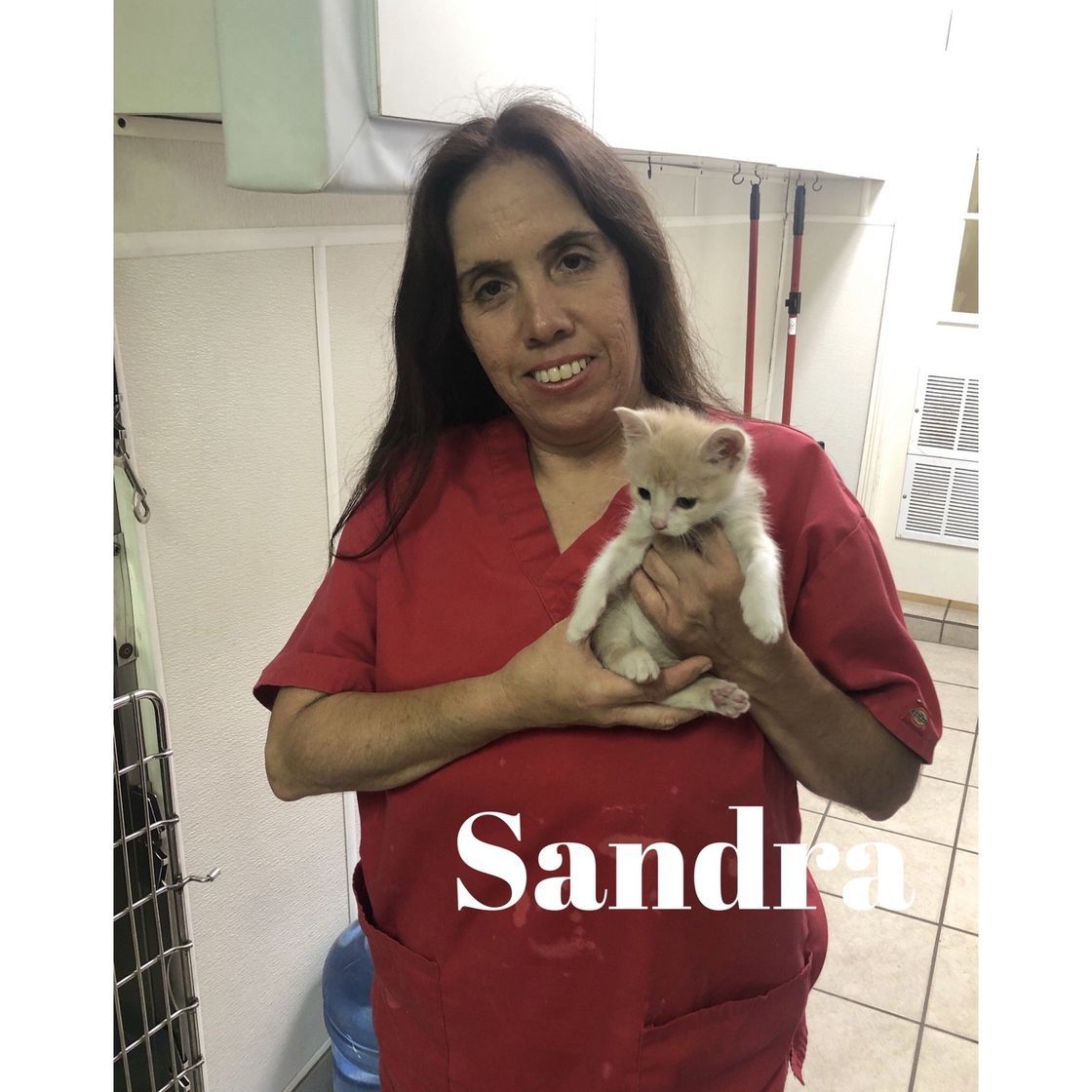 A woman in a red scrub is holding a kitten.