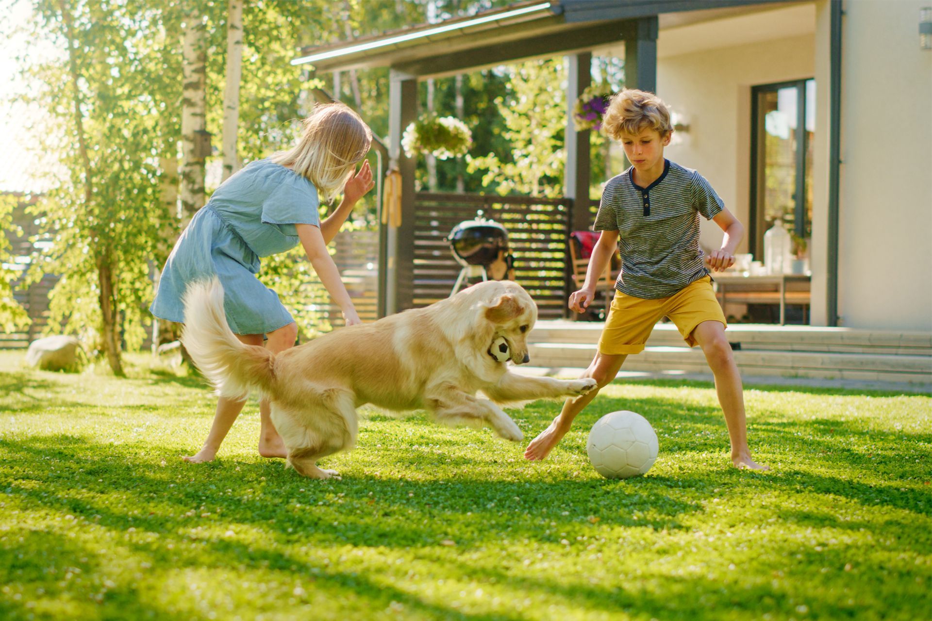 Kids and Dog Playing on Lawn