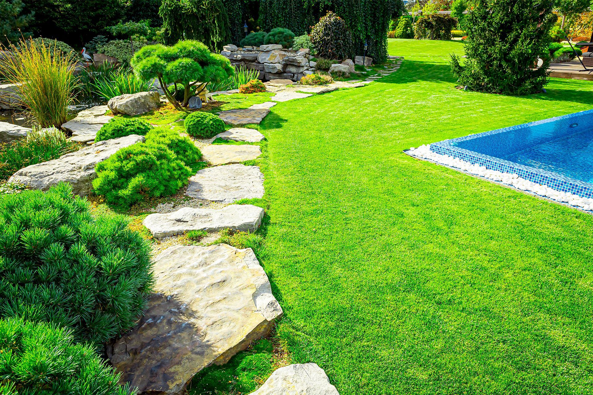 Beautiful Backyard Lawn