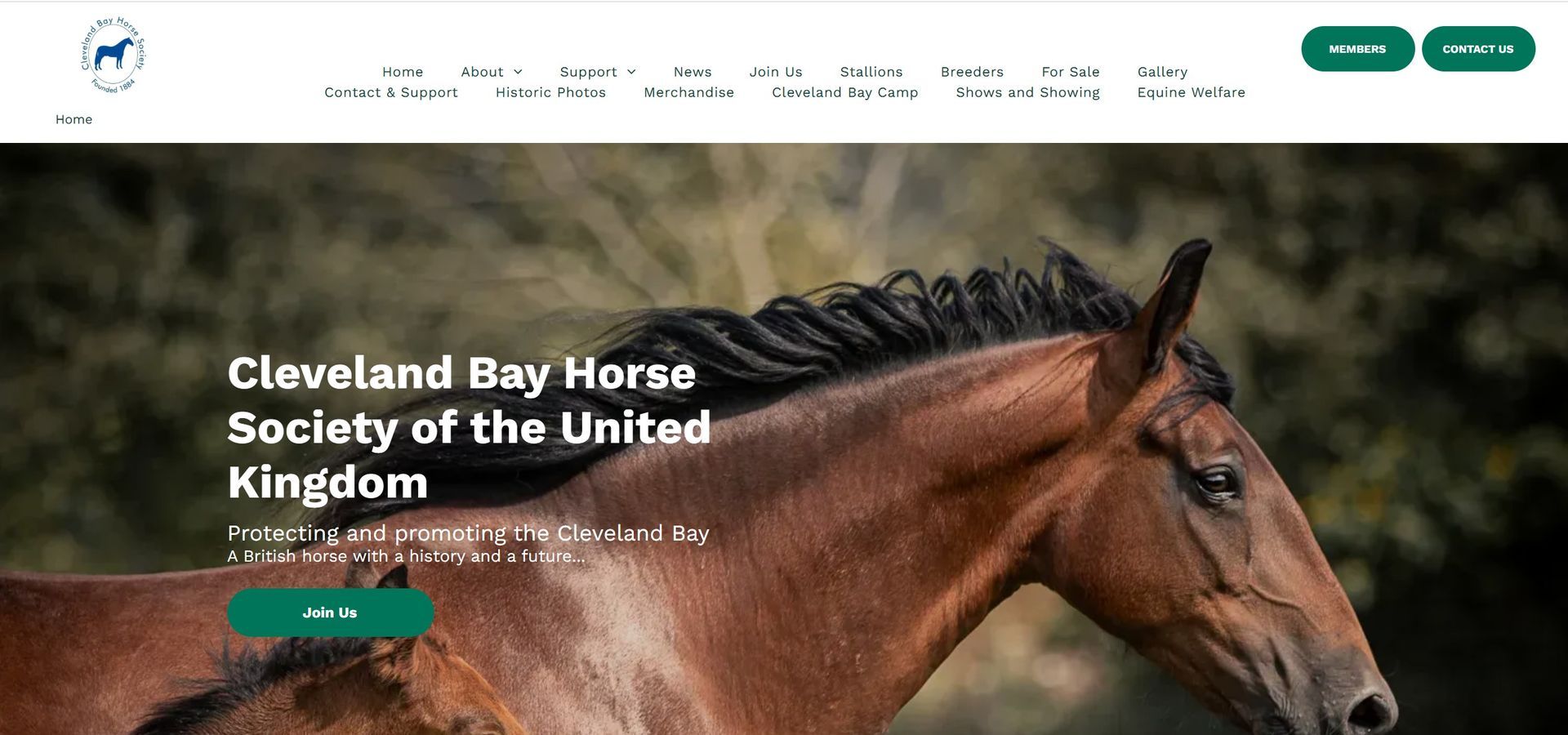 cleavland bay horse socioty website