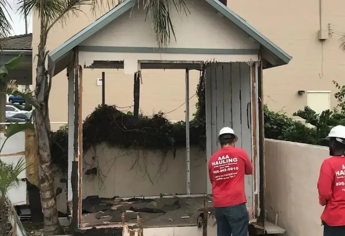 shed light demolition