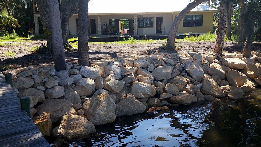 Rocks Near Tree — Cocoa Beach, FL — Darrell’s Docks