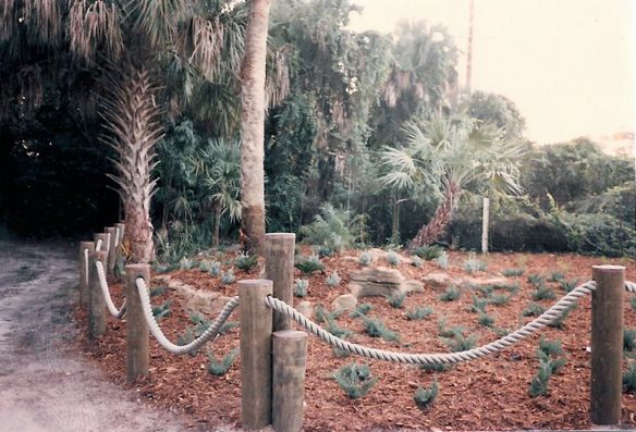 Pilings with Rope — Cocoa Beach, FL — Darrell’s Docks