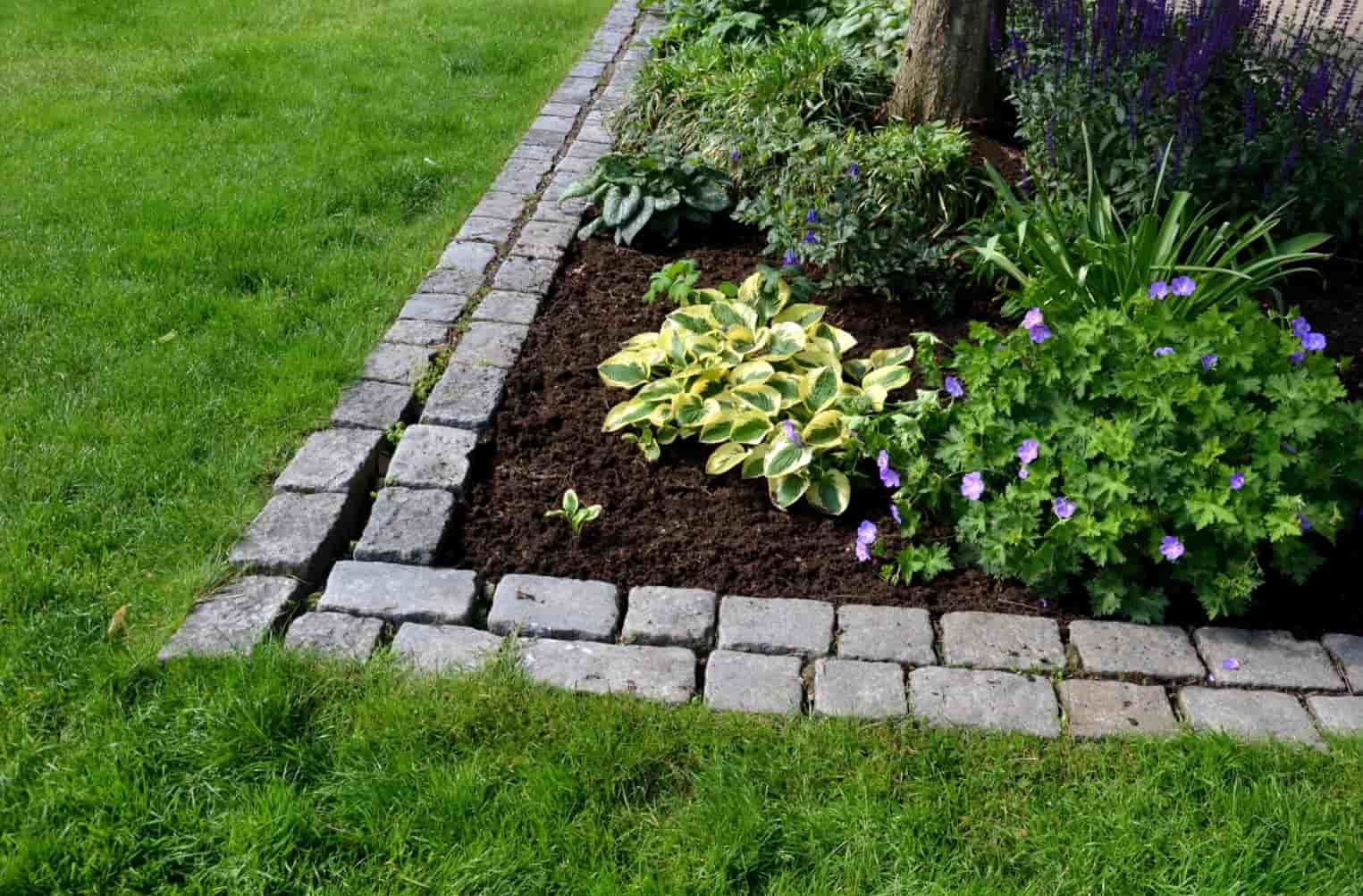 A Lush Green Lawn With a Brick Border — Ourimbah Landscape Supplies In Gosford, NSW