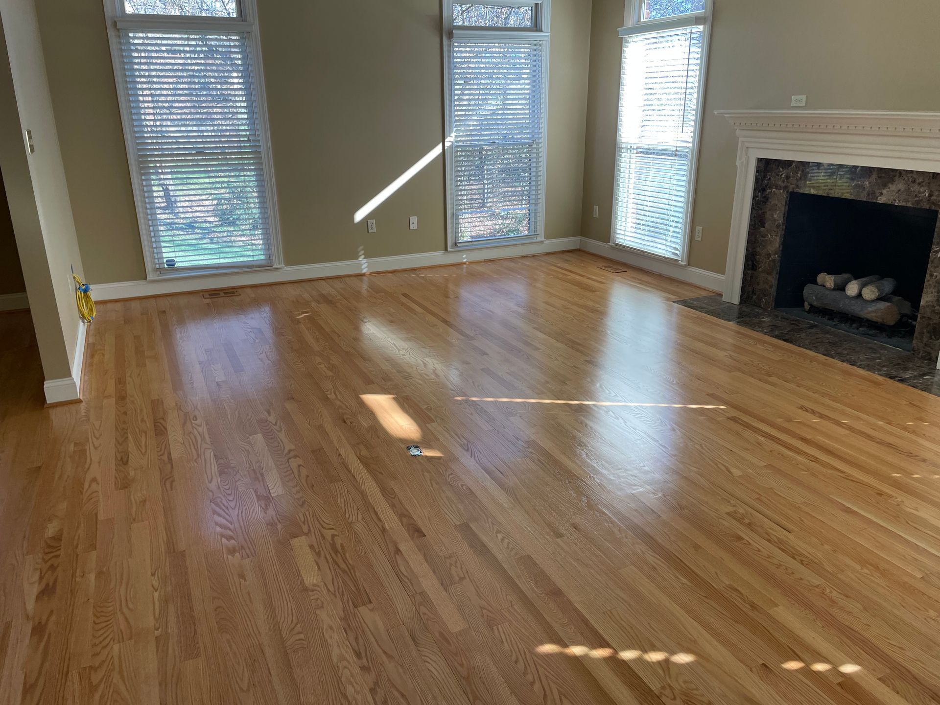 A living room with hardwood floors and a fireplace.