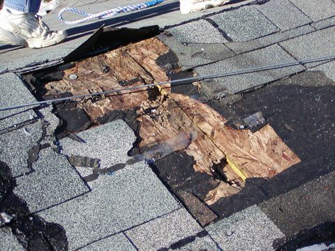 Dry Rot Damage due to Poor Moist air control - Nelson & McClure in Olympia, WA