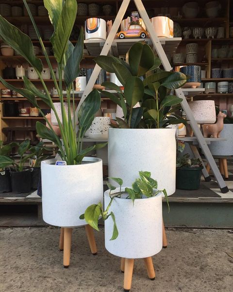 Terrazo plant stands