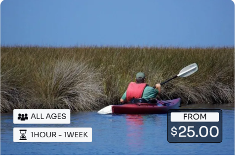 A man in a red kayak is paddling through tall grass.