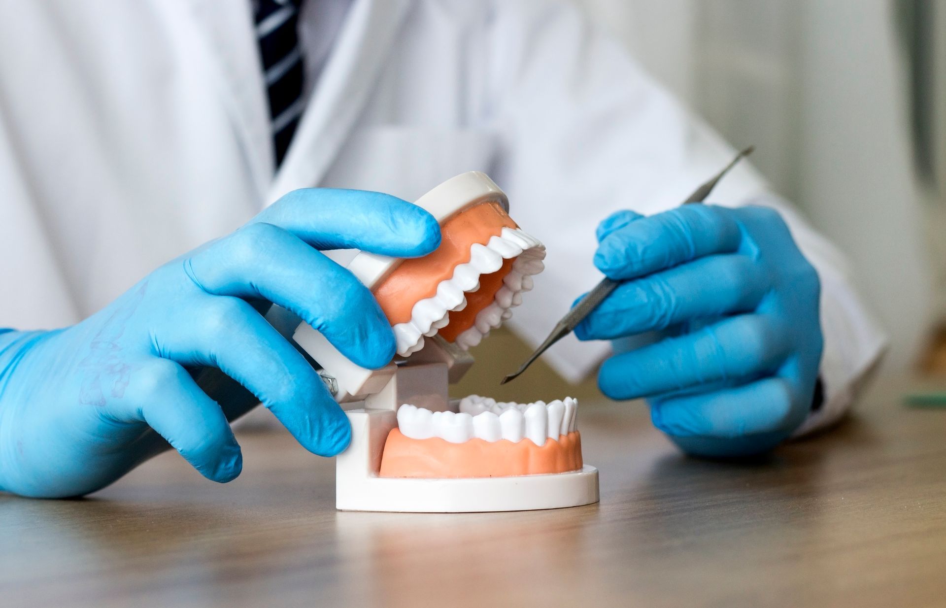 Dentist in blue gloves holding a model of teeth with an instrument, examining the upper jaw.