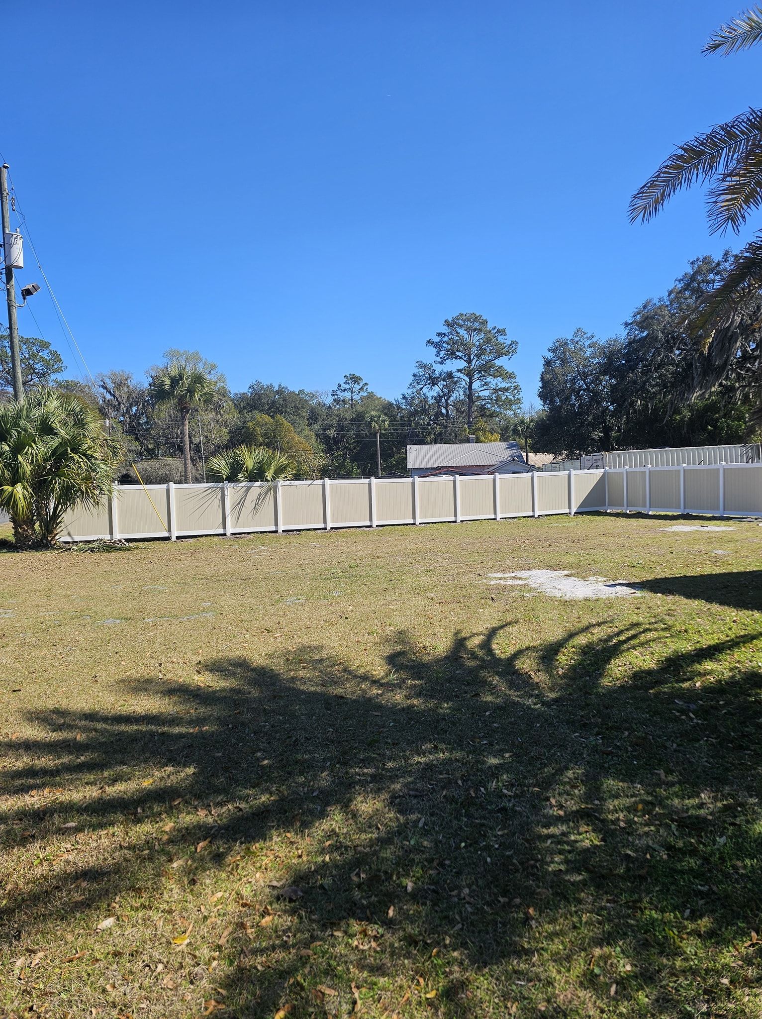 A bright, sunny backyard features a light-colored vinyl fence running across the frame with trees in the background.