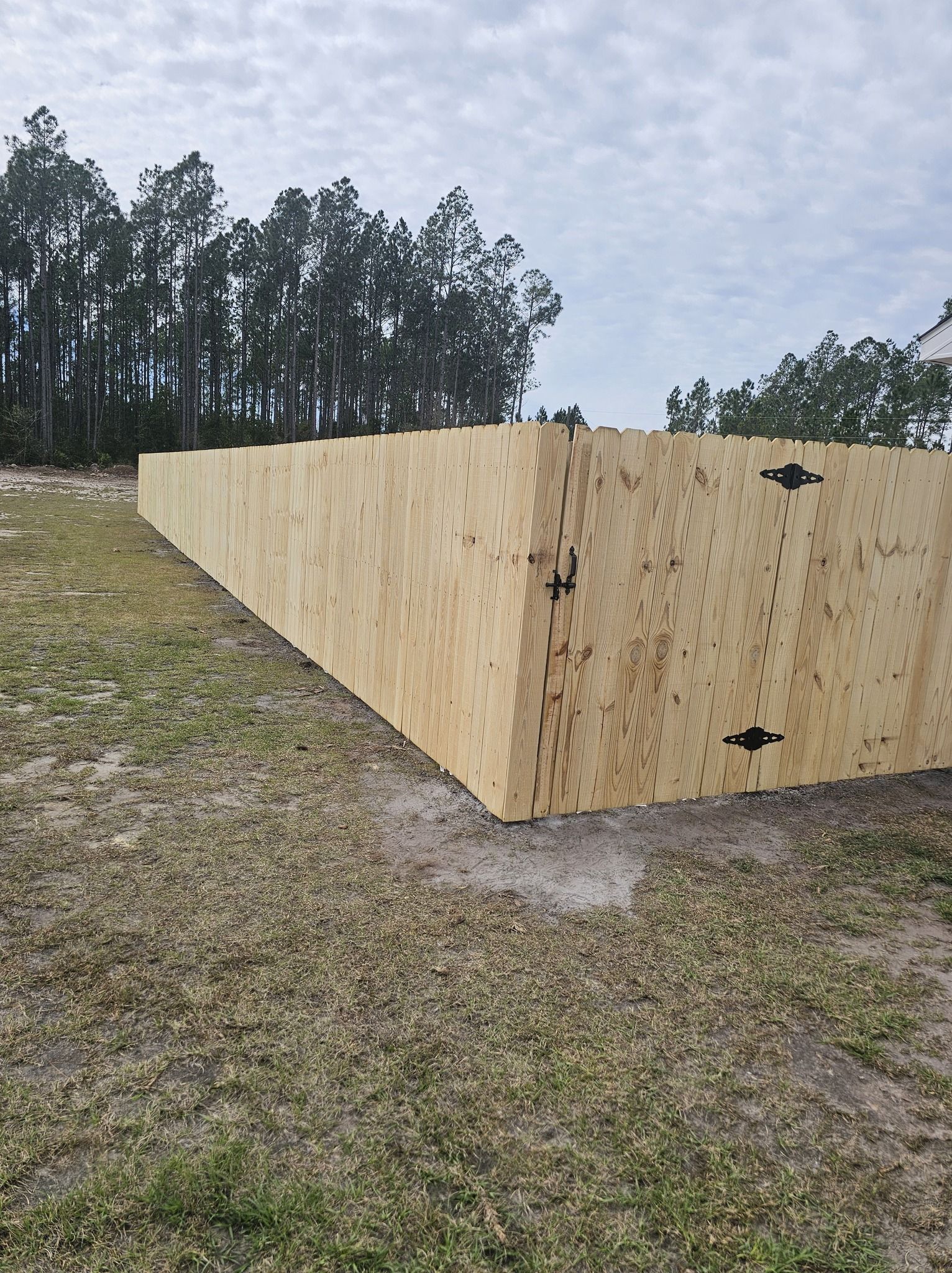 A long wall made of oriented strand board panels stands on a grass-covered, sandy lot with trees in the background.