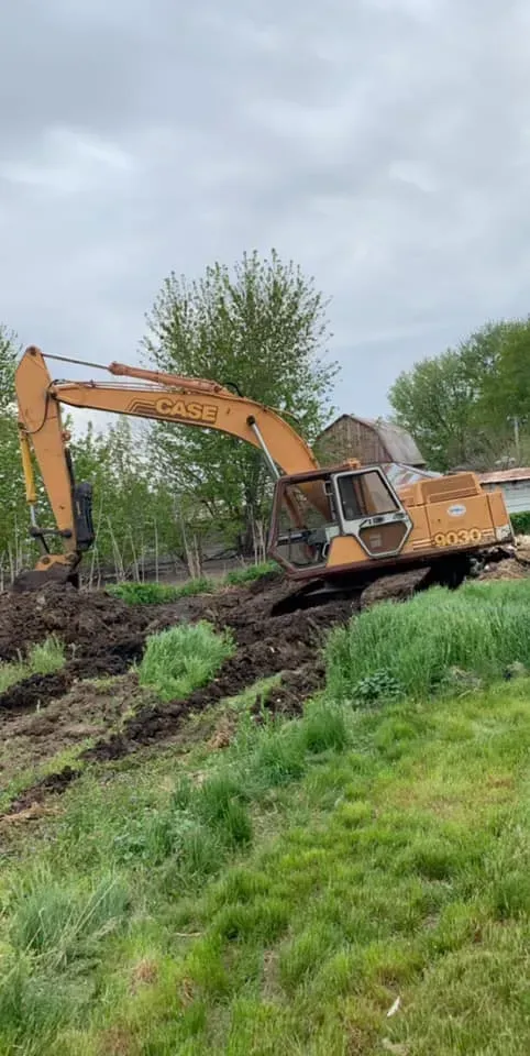 Yellow excavator digging on a muddy hillside beside trees and grass.