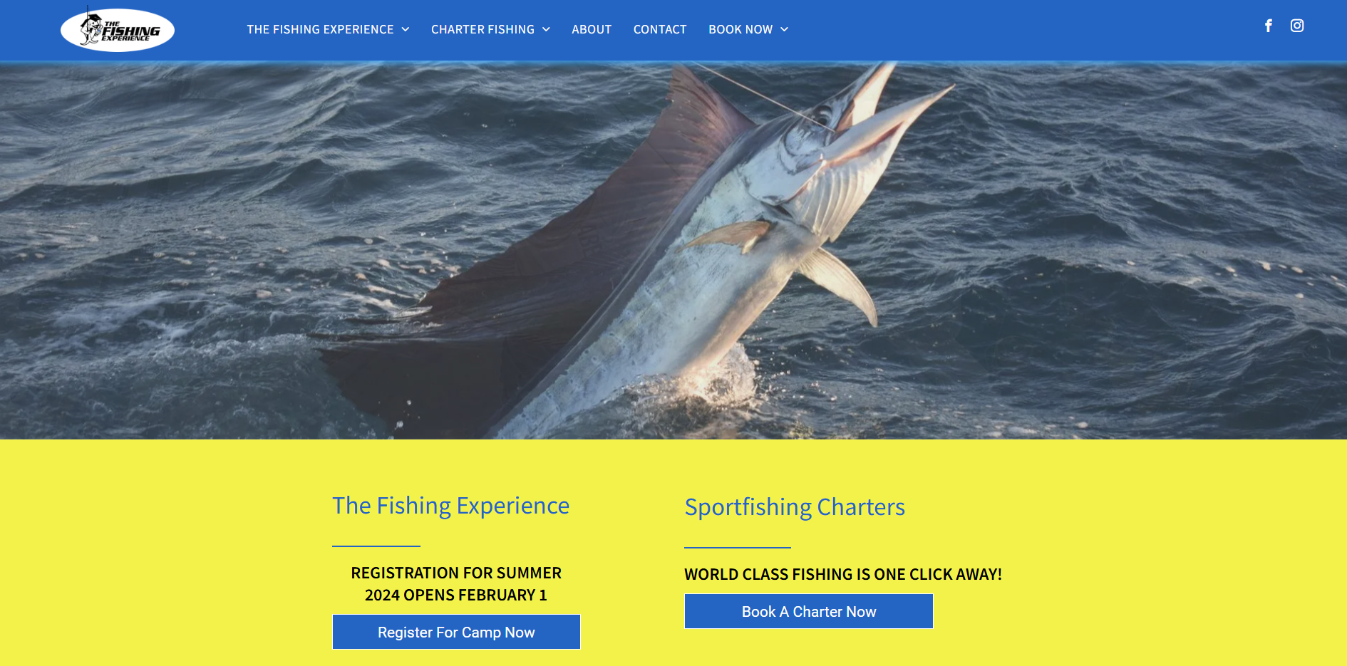 A sailfish is jumping out of the water on a website.