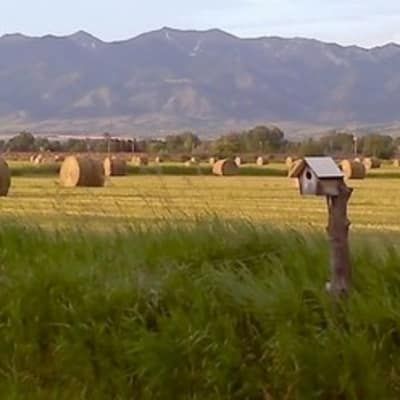 A birdhouse is sitting in the middle of a field of hay bales.