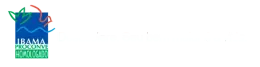 Logotipo da IRMA, quadrado azul com elementos gráficos verdes, vermelhos e azuis.