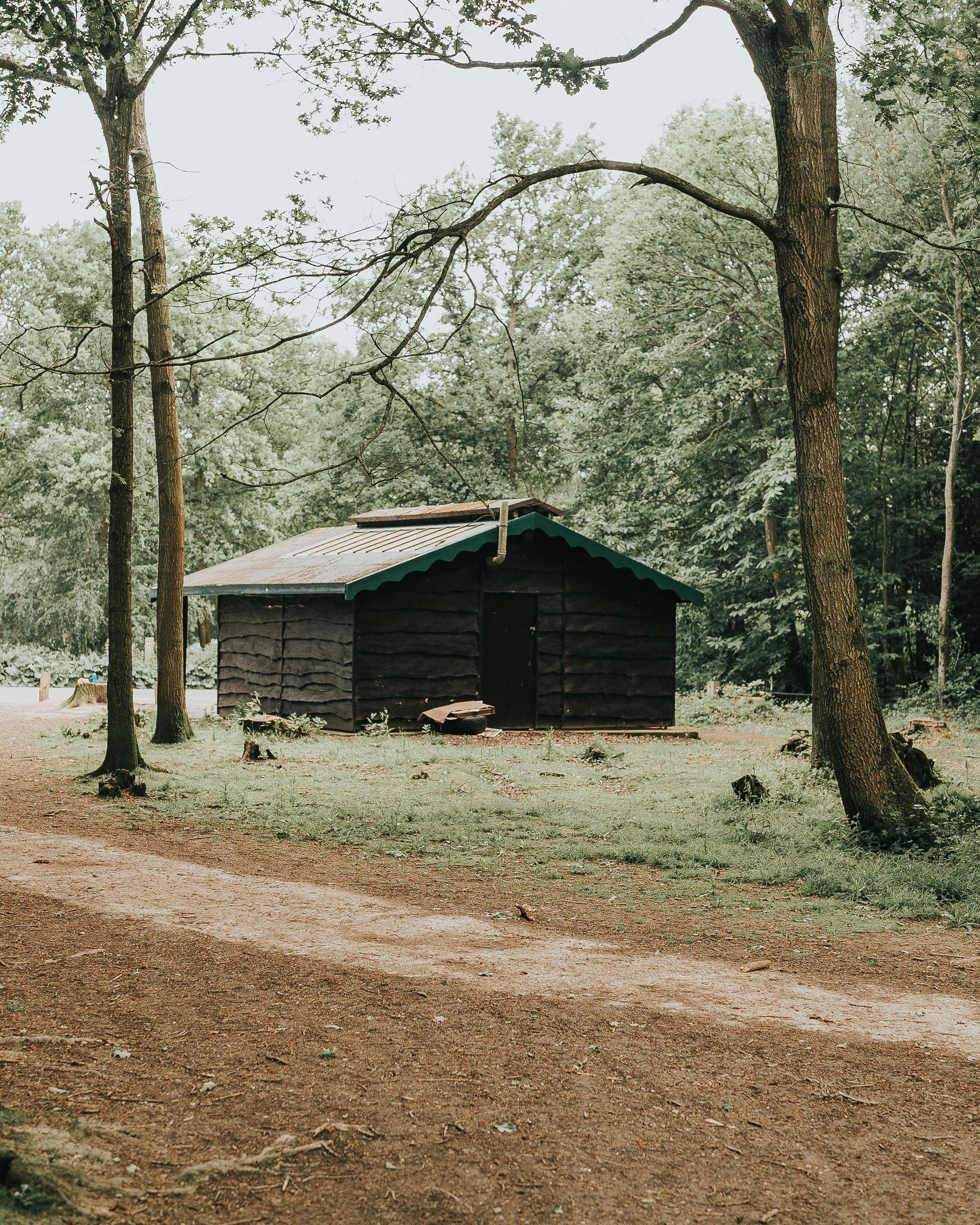 Lovely small green wood shed in the woods. Expertly painted by Orchid Decor in Newport, Wales.