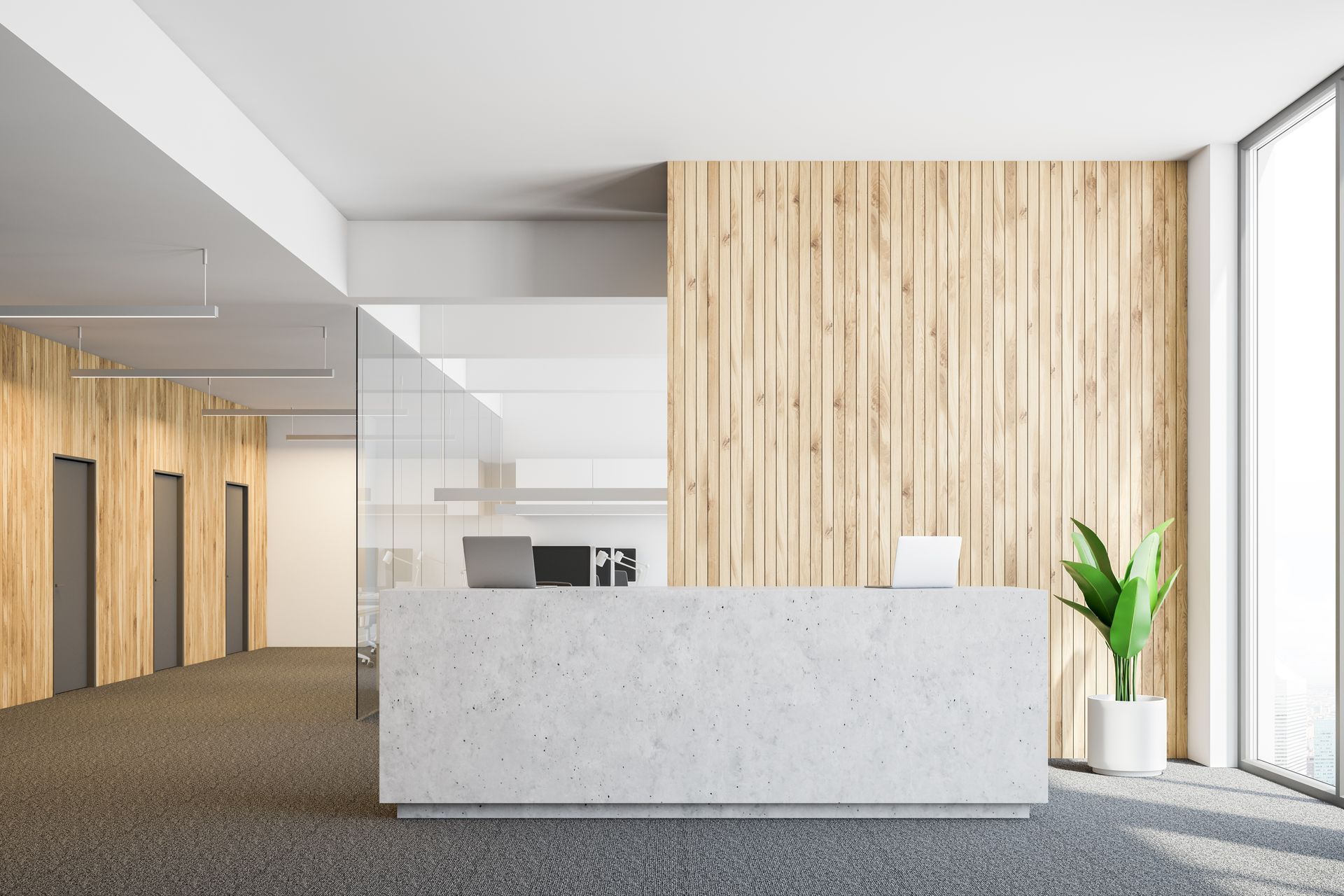 Modern office reception area featuring a concrete desk, light wood-paneled walls, and a green plant.