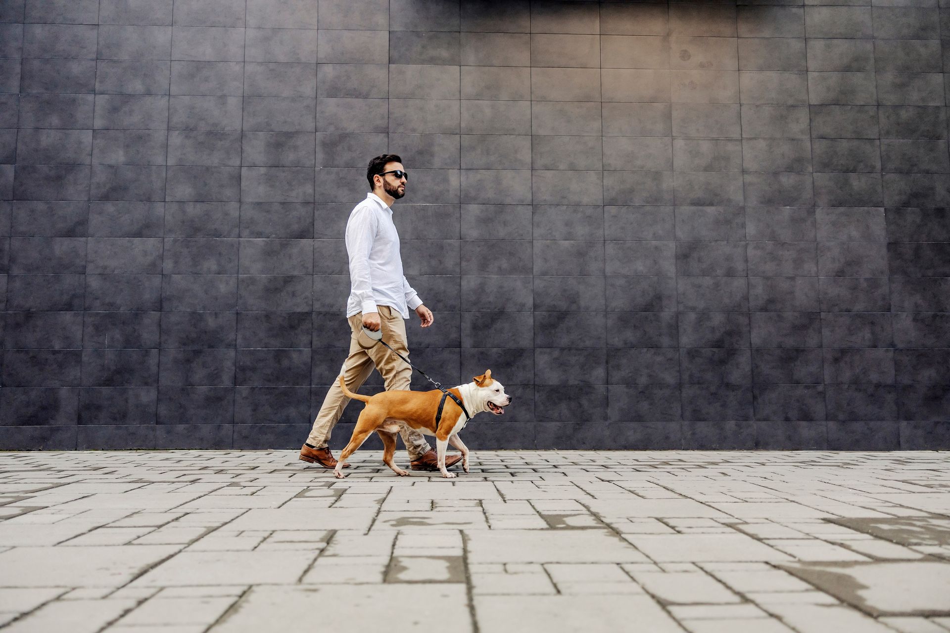 Man walking a dog on a leash across a paved plaza beside a dark stone wall
