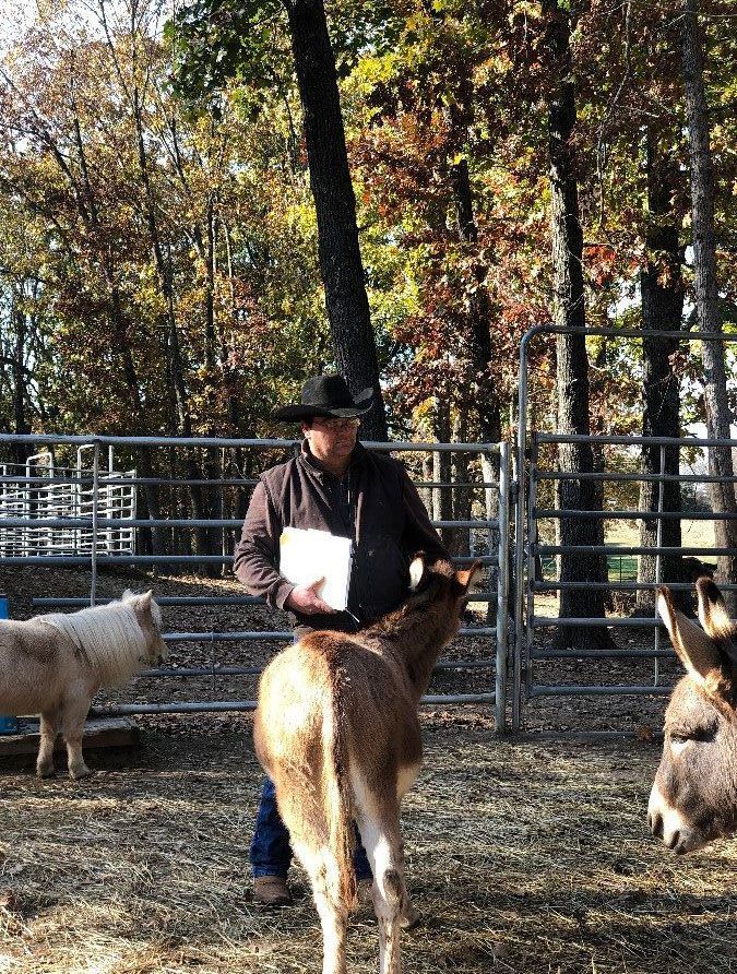 Man and Horses — Reno, NV — E3A Equine Experiential