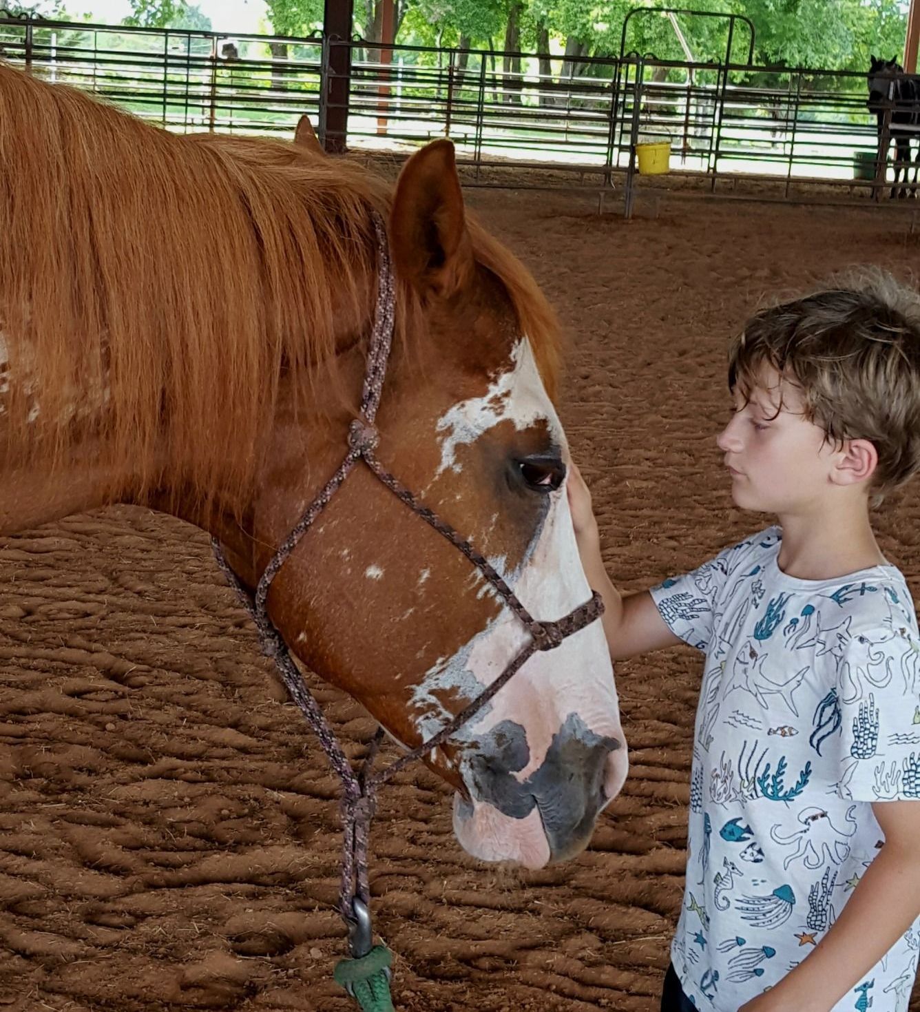 A brown and white horse named Ella Grace standing with a young boy in the arena at Spirit Song Youth Equestrian Center