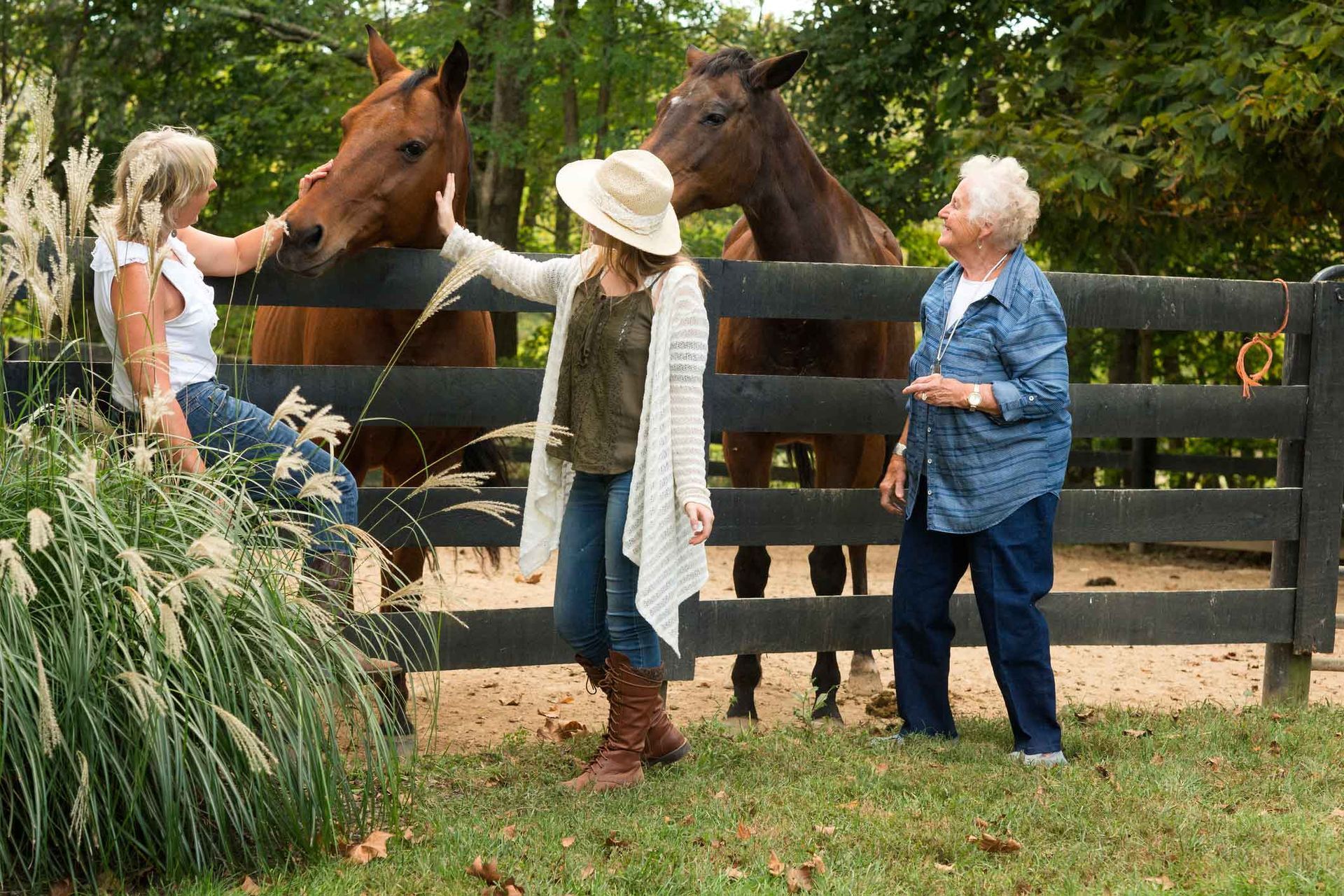 Three Women Touching Horses Behind the Fence — Reno, NV — E3A Equine Experiential