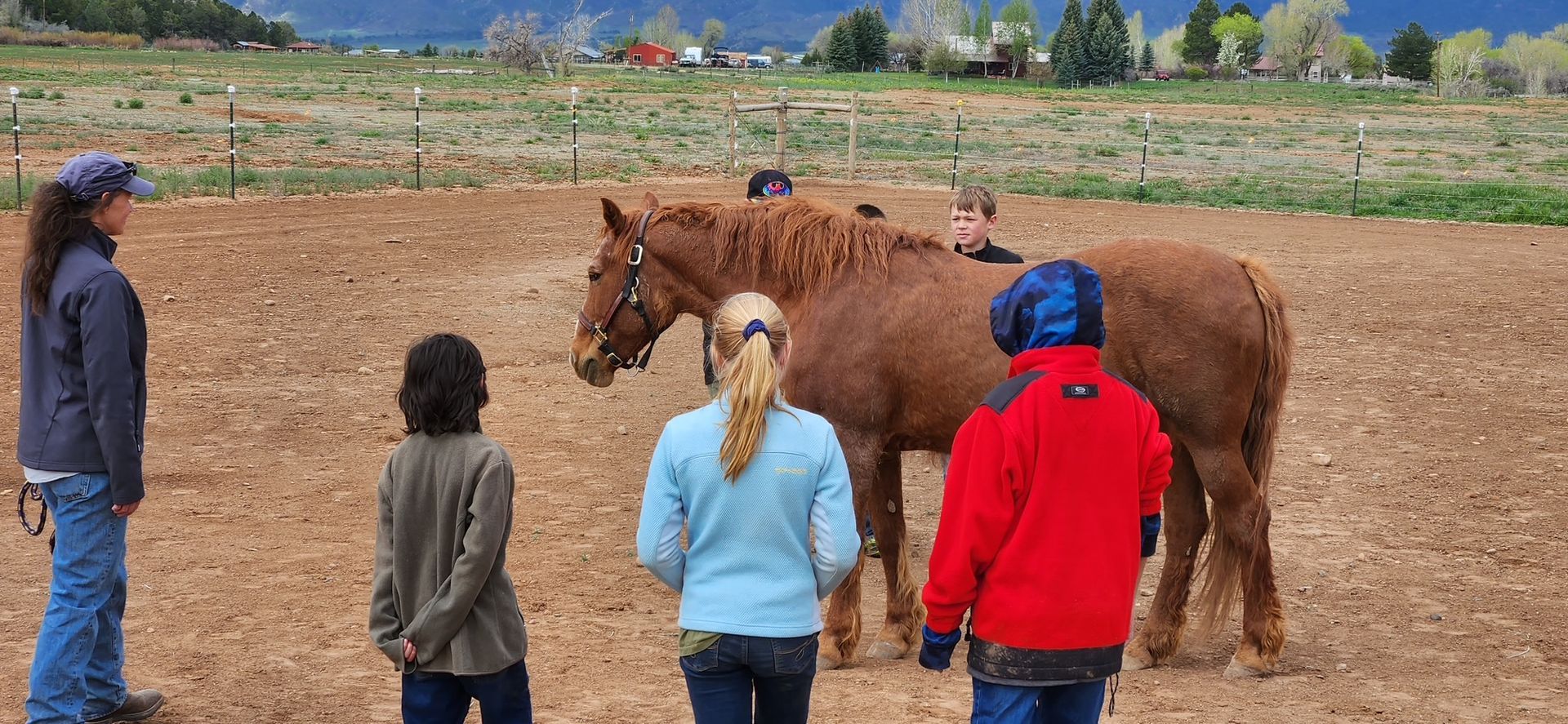 A facilitator and group of participants stand with a brown horse.