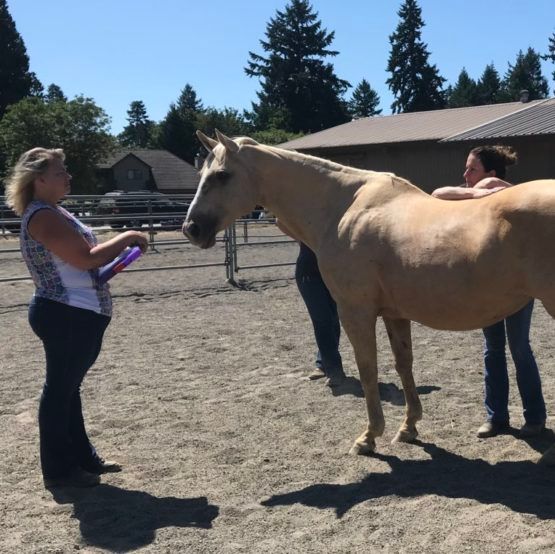 Leticia Checking the Horse — Reno, NV — E3A Equine Experiential