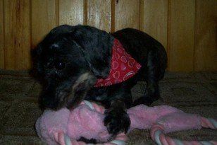 STELLA (AFTER A DAY AT THE SPA)