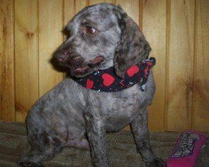 REESE (AFTER SPA DAY)