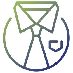 Icona – Professionalità